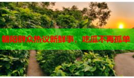 朝阳群众热议新鲜事，吃瓜不再孤单