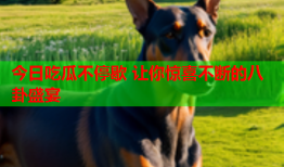 今日吃瓜不停歇 让你惊喜不断的八卦盛宴