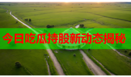 今日吃瓜持股新动态揭秘