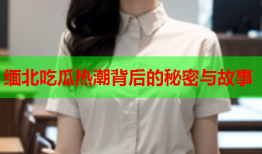 缅北吃瓜热潮背后的秘密与故事
