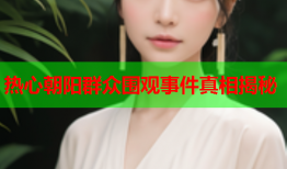 热心朝阳群众围观事件真相揭秘