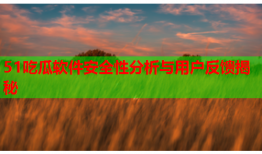 51吃瓜软件安全性分析与用户反馈揭秘