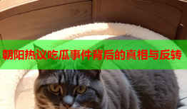 朝阳热议吃瓜事件背后的真相与反转
