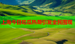 上海今日吃瓜热潮引发全民围观