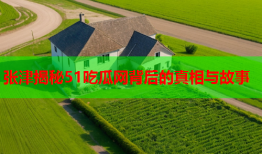 张津揭秘51吃瓜网背后的真相与故事