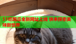 51吃网瓜全新网址上线 快来探索美味新世界