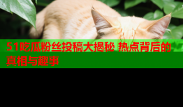 51吃瓜粉丝投稿大揭秘 热点背后的真相与趣事