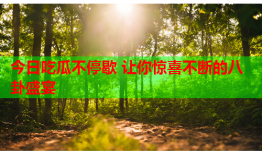 今日吃瓜不停歇 让你惊喜不断的八卦盛宴