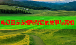 吃瓜董赤赤揭秘背后的故事与真相