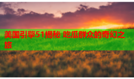美国引擎51揭秘 吃瓜群众的奇幻之旅
