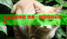 吃瓜站新体验 快来一起围观精彩瞬间