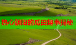 热心朝阳的瓜田趣事揭秘