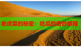 老虎菜的秘密：吃瓜的奇妙旅程