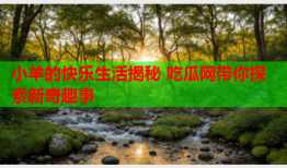 小羊的快乐生活揭秘 吃瓜网带你探索新奇趣事