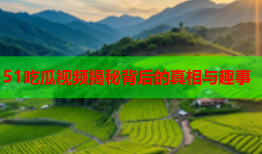 51吃瓜视频揭秘背后的真相与趣事