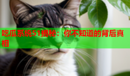 吃瓜系统51揭秘：你不知道的背后真相