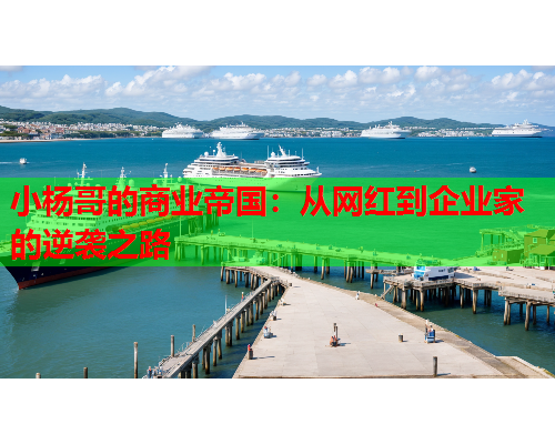 小杨哥的商业帝国：从网红到企业家的逆袭之路