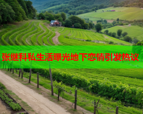 张继科私生活曝光地下恋情引发热议