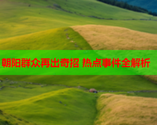 朝阳群众再出奇招 热点事件全解析