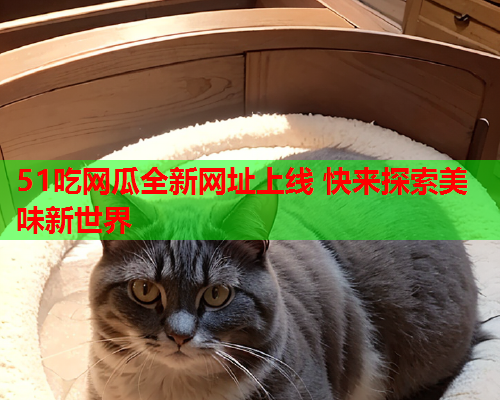 51吃网瓜全新网址上线 快来探索美味新世界