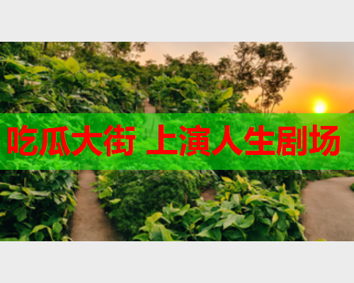 吃瓜大街 上演人生剧场