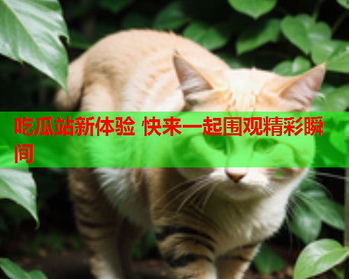吃瓜站新体验 快来一起围观精彩瞬间