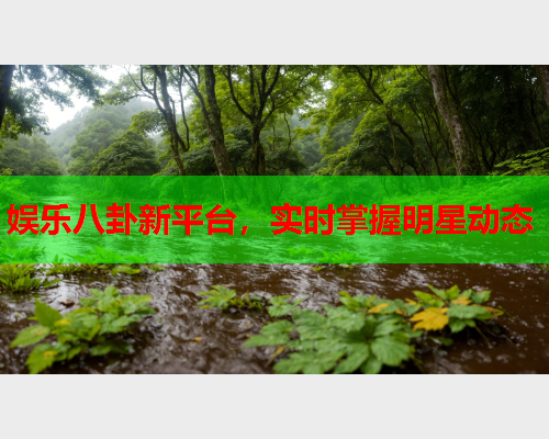 娱乐八卦新平台，实时掌握明星动态