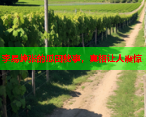 李易峰张的瓜田秘事，真相让人震惊
