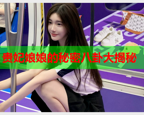 贵妃娘娘的秘密八卦大揭秘
