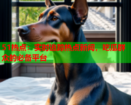 51热点：实时追踪热点新闻，吃瓜群众的必备平台