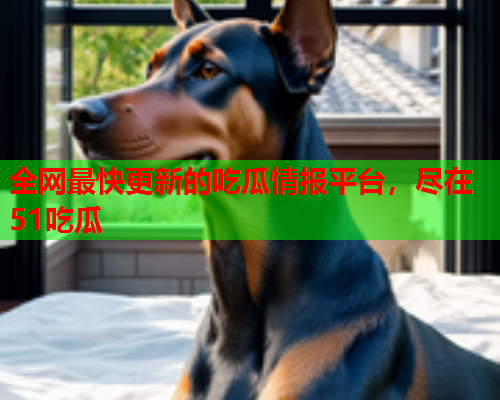 全网最快更新的吃瓜情报平台，尽在51吃瓜